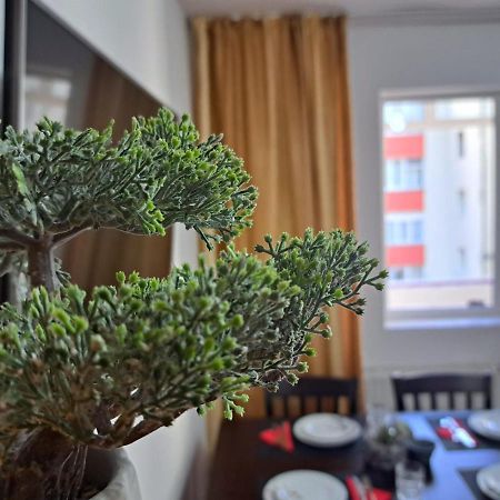 Aviliz Apartament Busteni Buşteni Exterior foto
