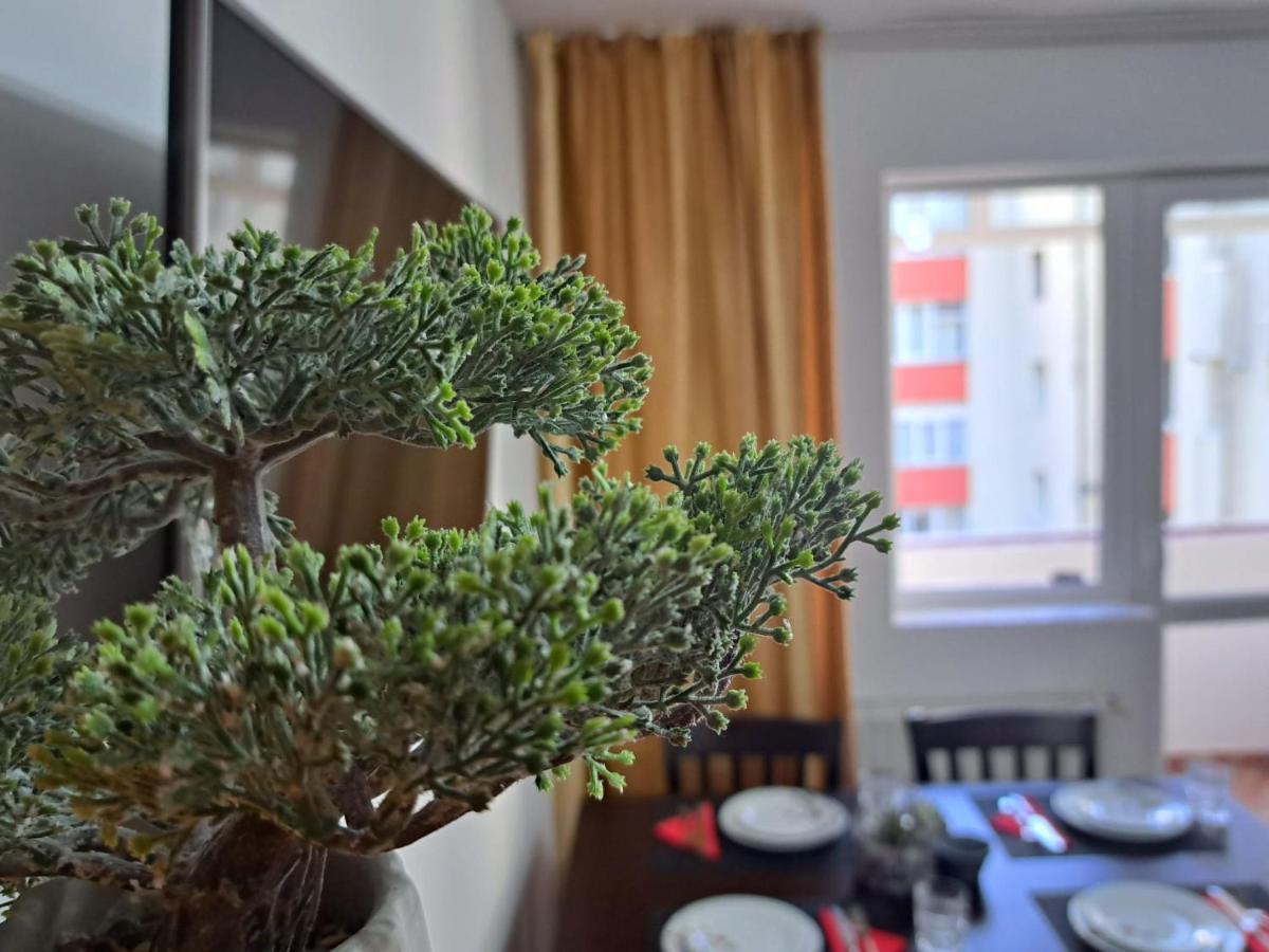 Aviliz Apartament Busteni Buşteni Exterior foto