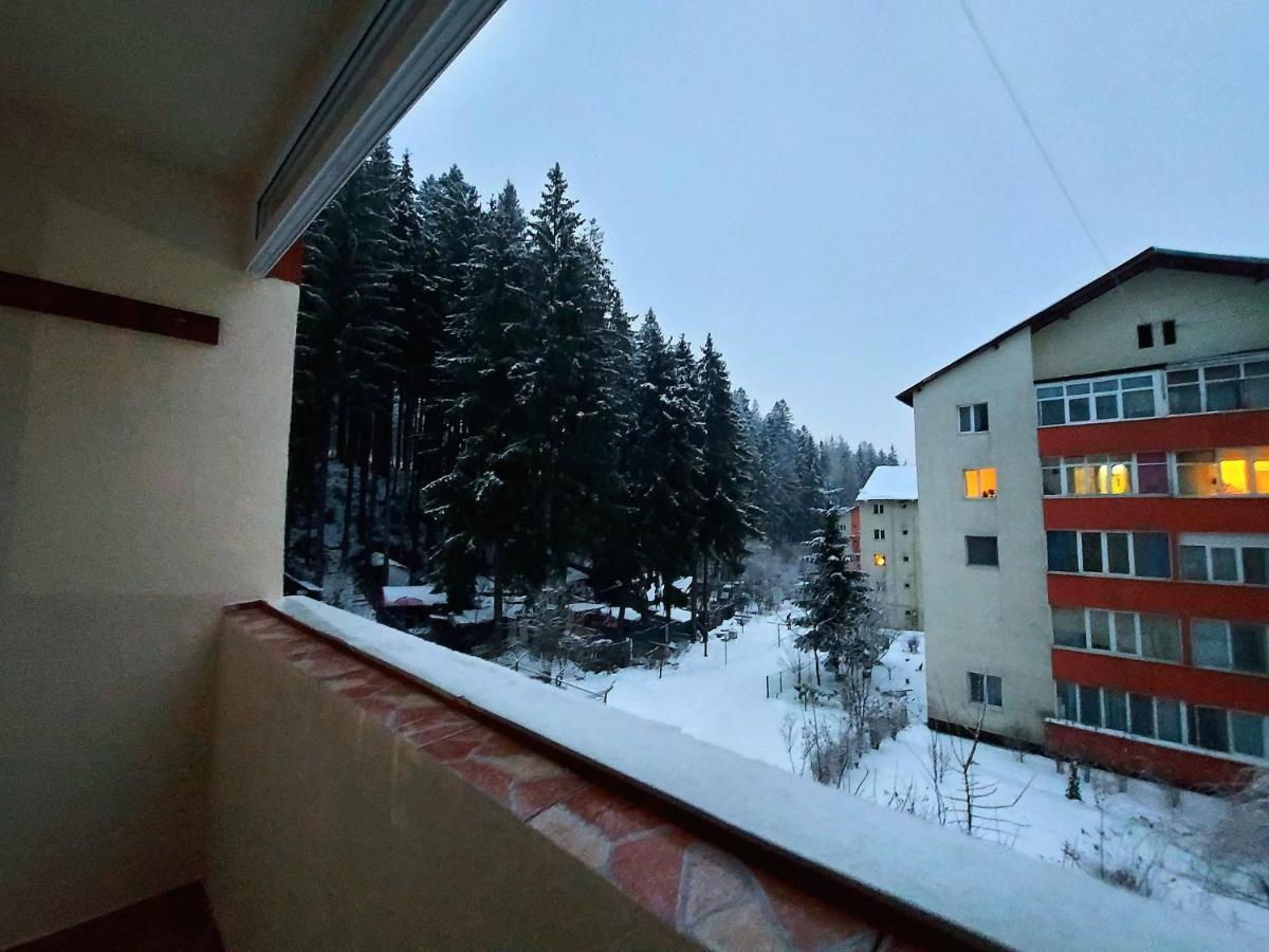 Aviliz Apartament Busteni Buşteni Exterior foto