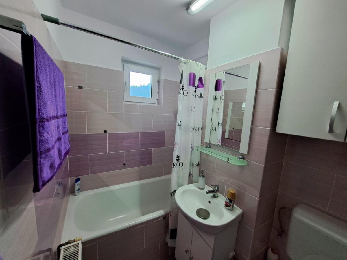 Aviliz Apartament Busteni Buşteni Exterior foto