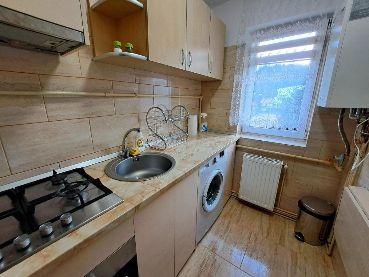 Aviliz Apartament Busteni Buşteni Exterior foto