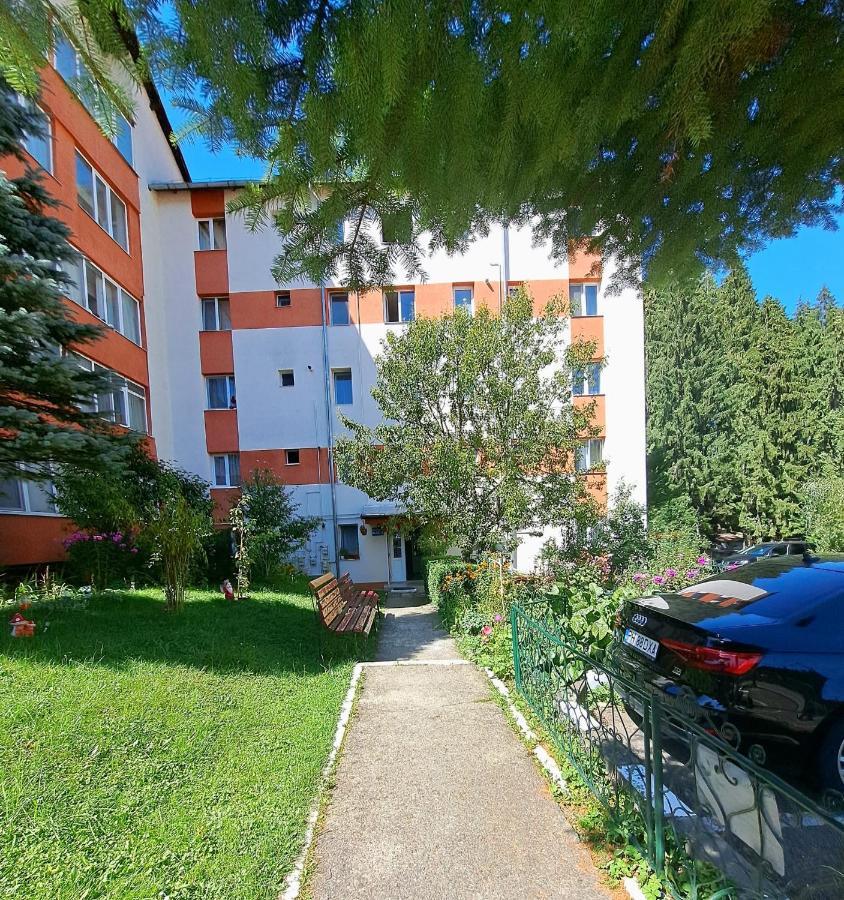 Aviliz Apartament Busteni Buşteni Exterior foto