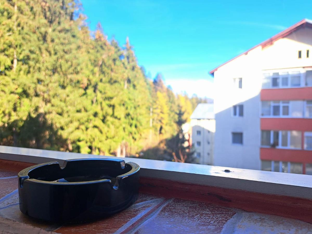 Aviliz Apartament Busteni Buşteni Exterior foto