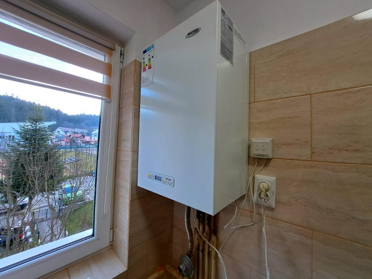 Aviliz Apartament Busteni Buşteni Exterior foto