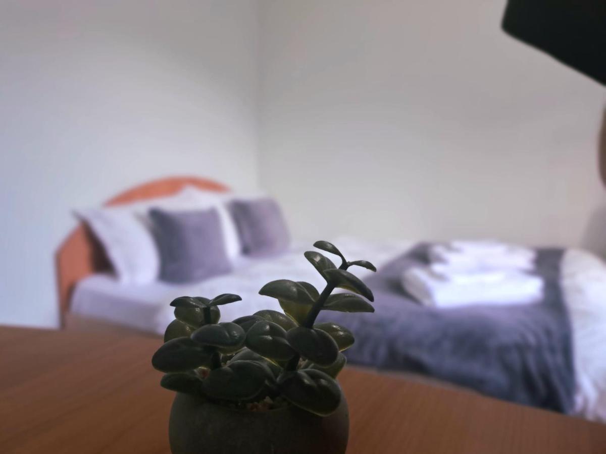 Aviliz Apartament Busteni Buşteni Exterior foto